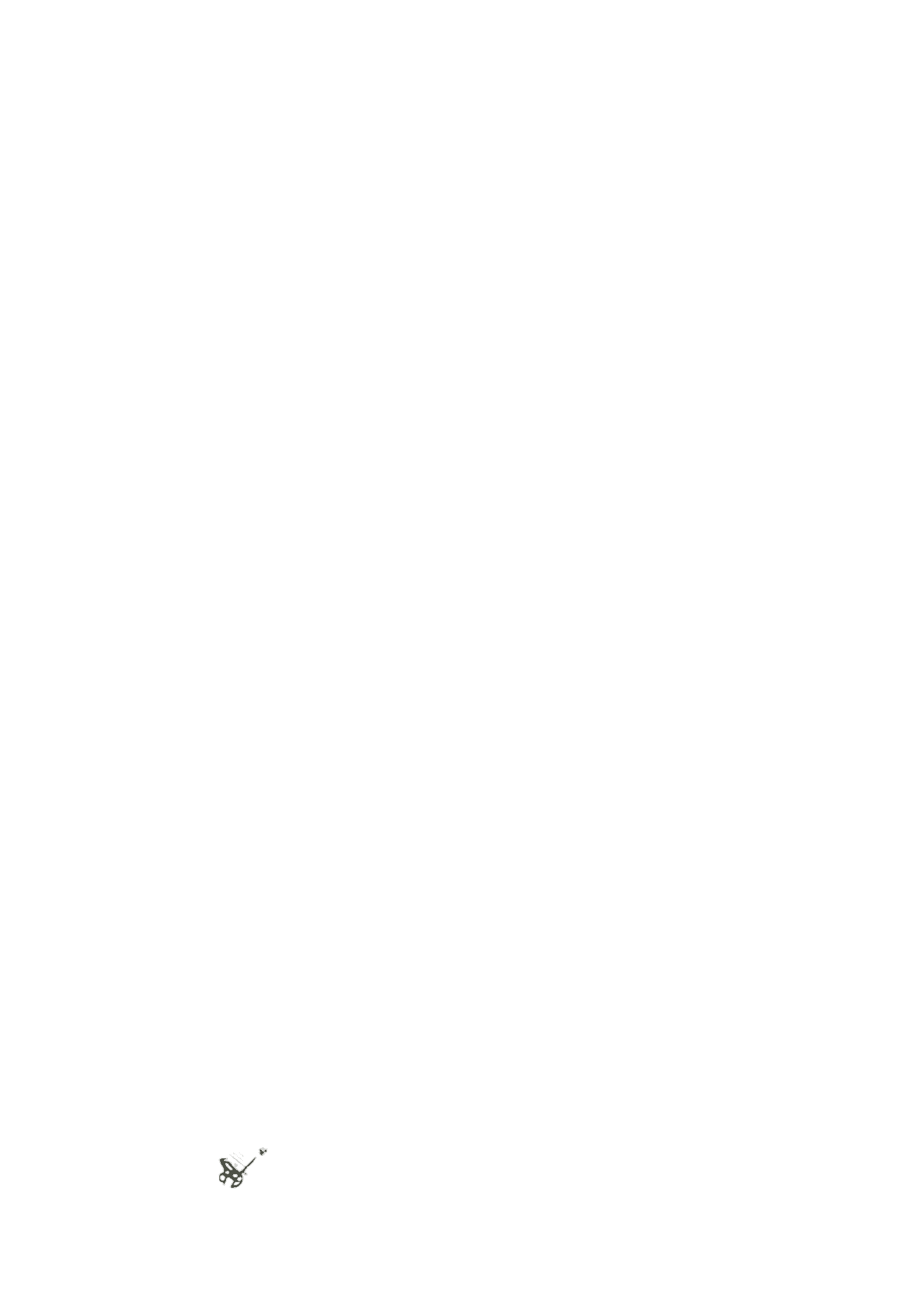 Before — original input
