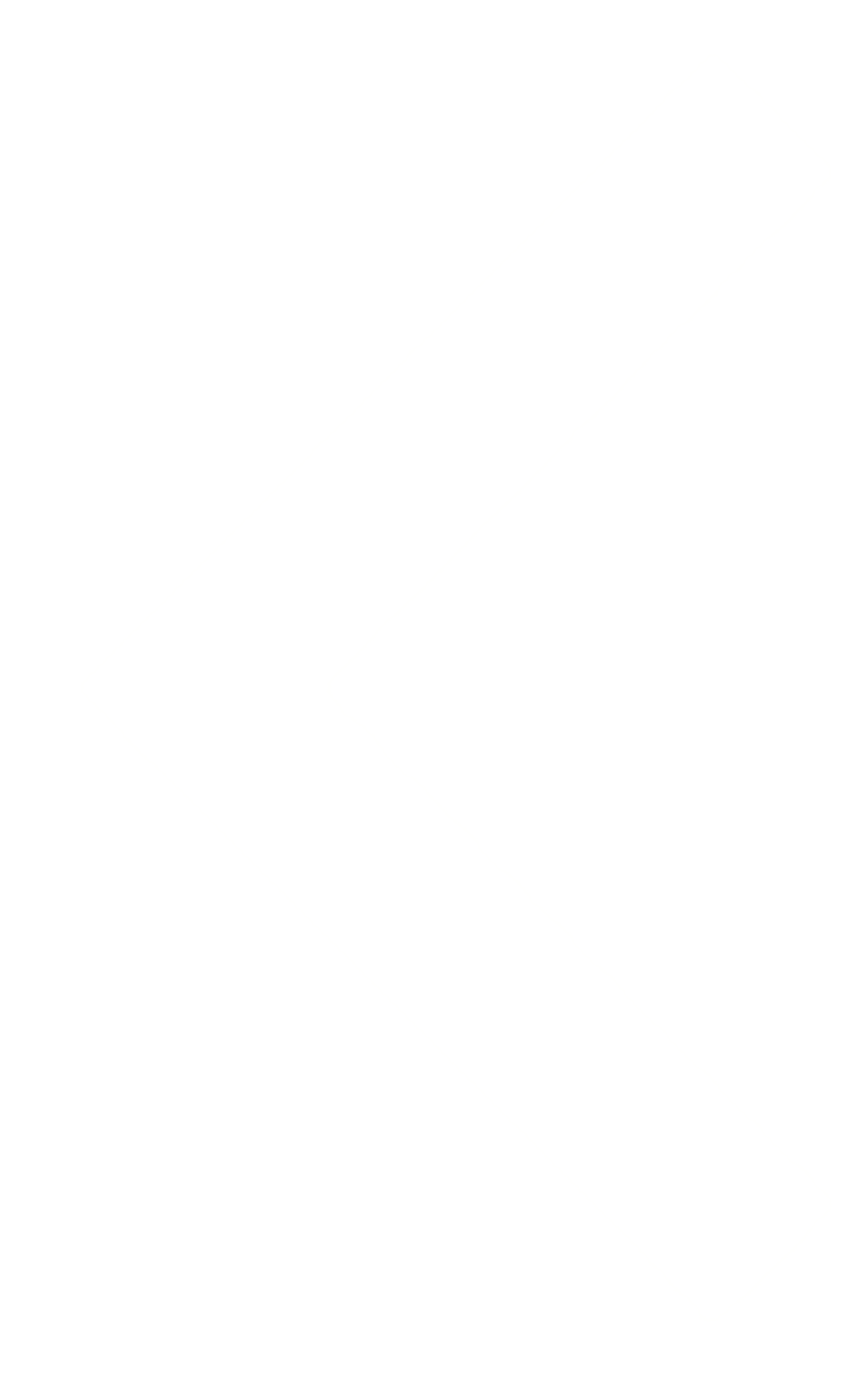 Before — original input