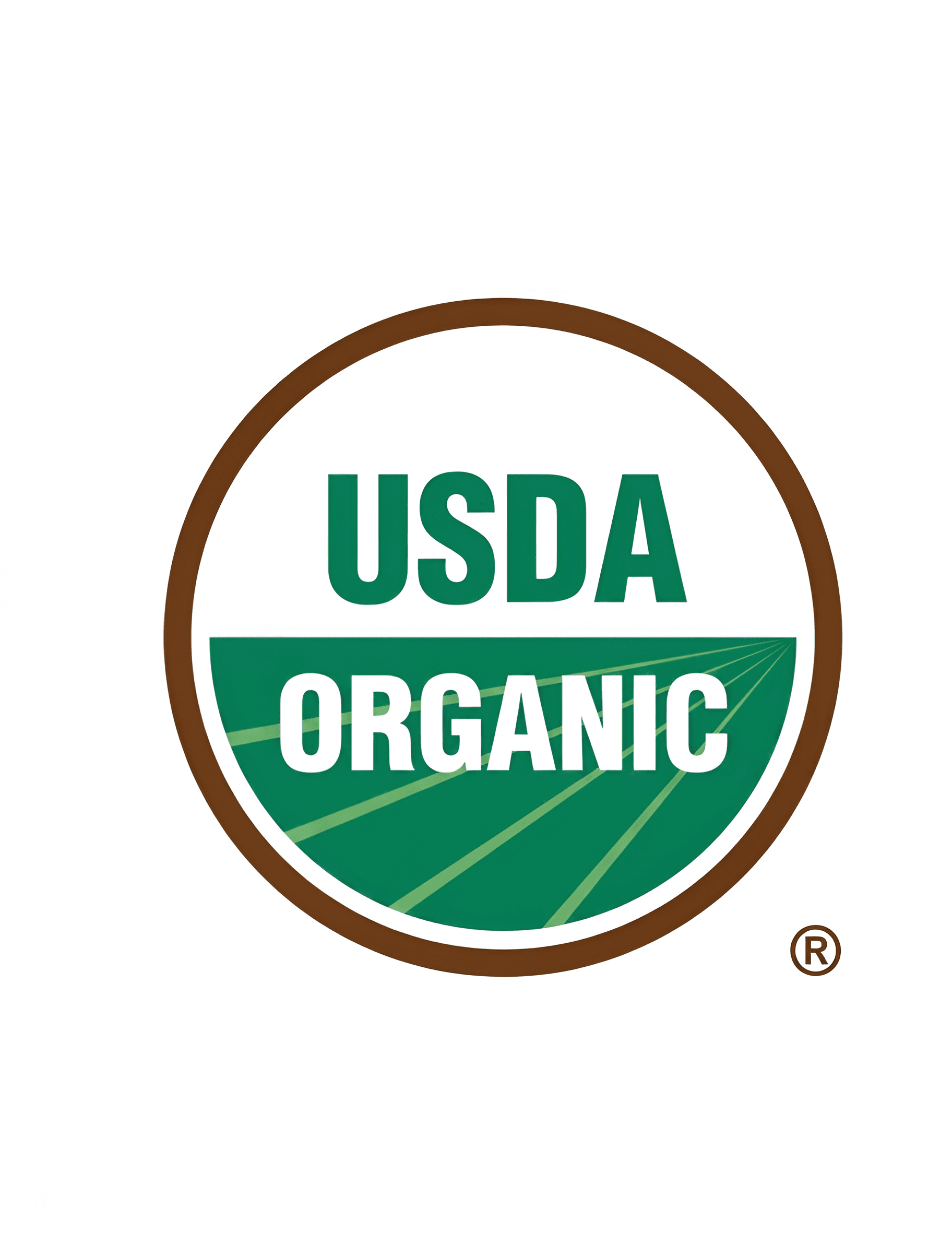 Upscale USDA Organic Logo with AI | BgRemovit Image Enhancer